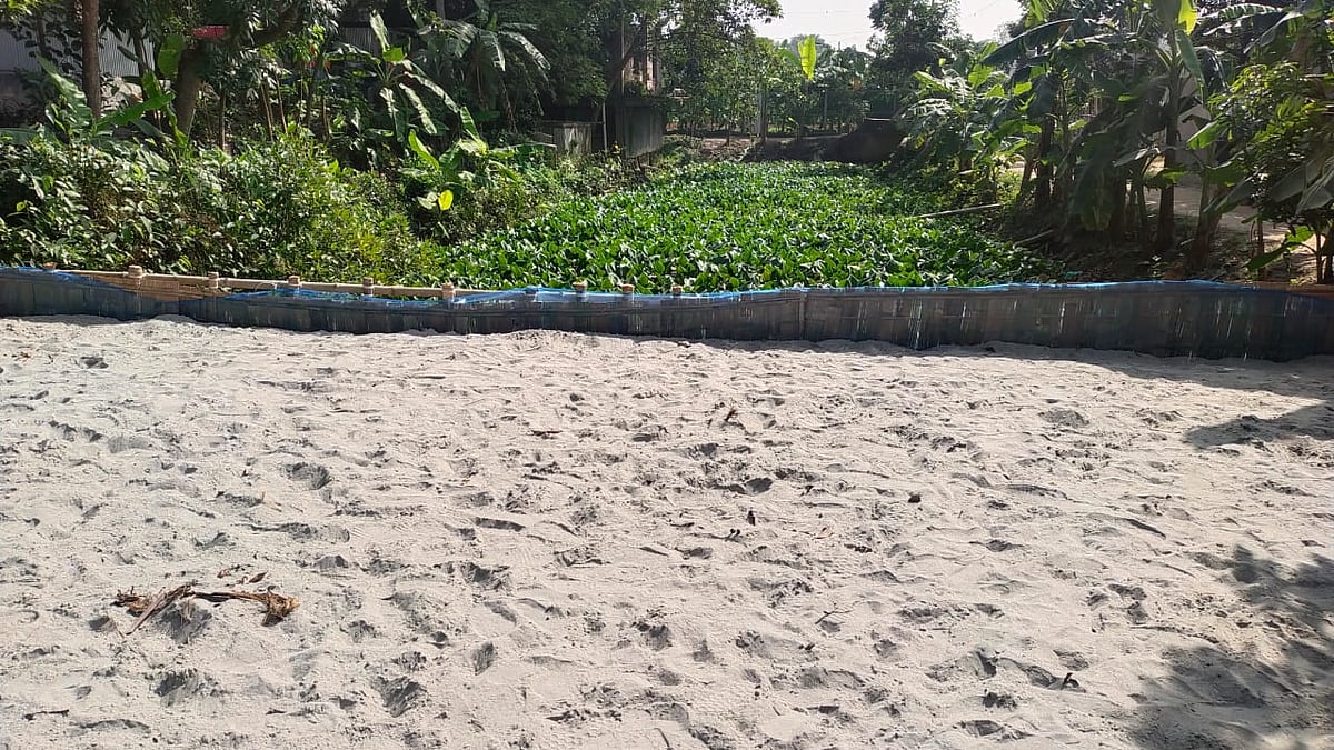  ছবি: প্রথম আলো