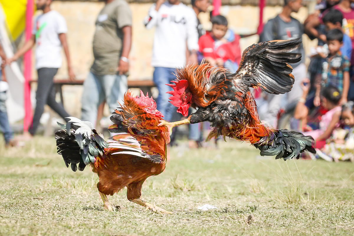 ছবি: সাদ্দাম হোসেন