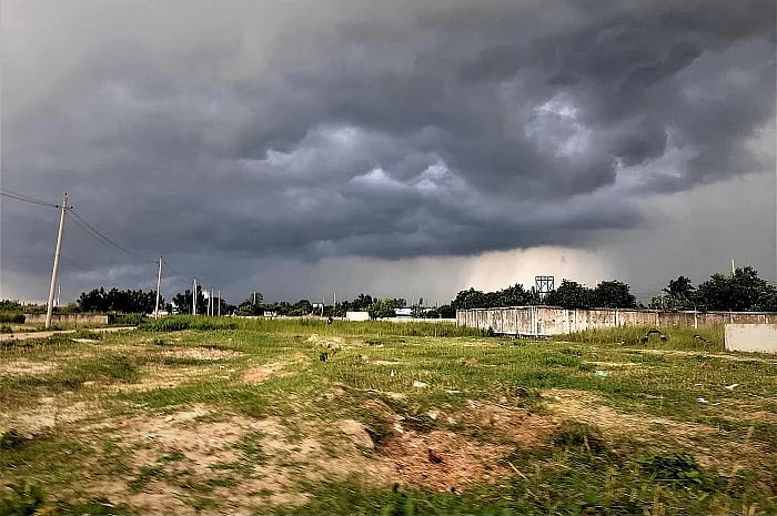 ফাইল ছবি: প্রথম আলো