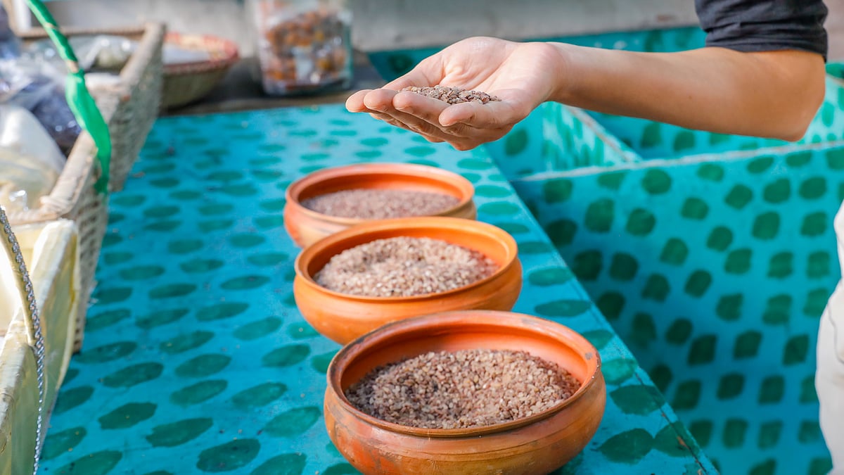 ছবি : সাবিনা ইয়াসমিন