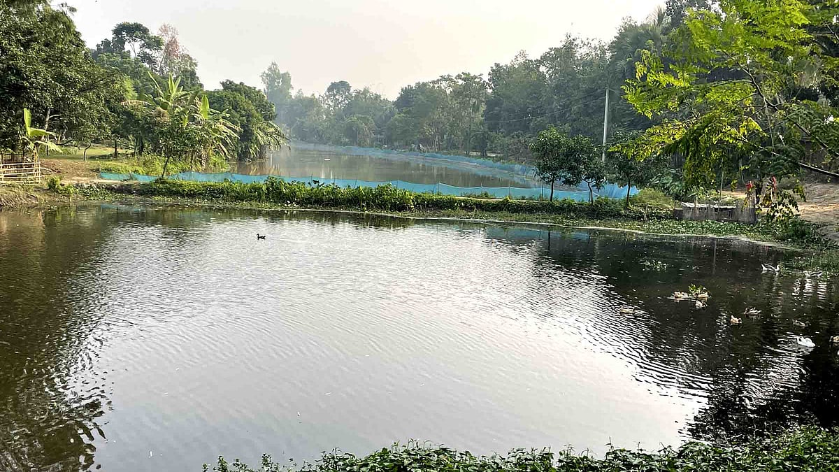 ছবি: প্রথম আলো
