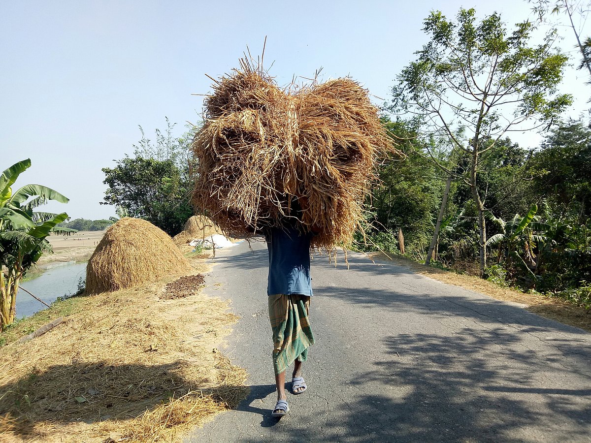 ছবি: আলীমুজ্জামান