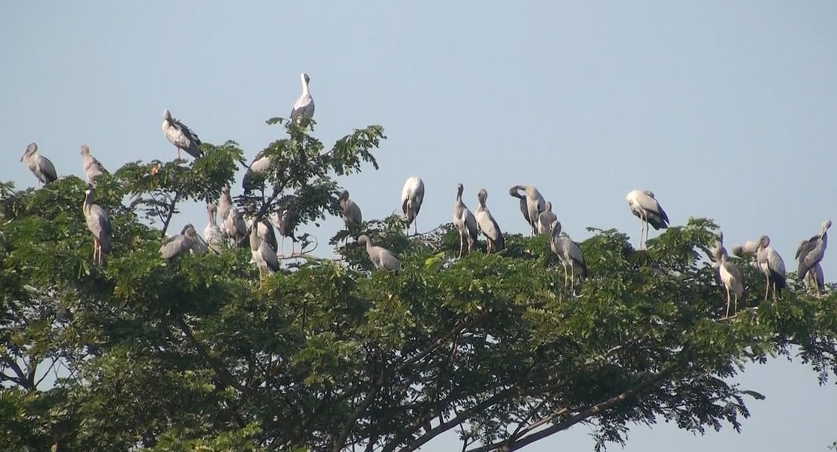 ছবি: প্রথম আলো