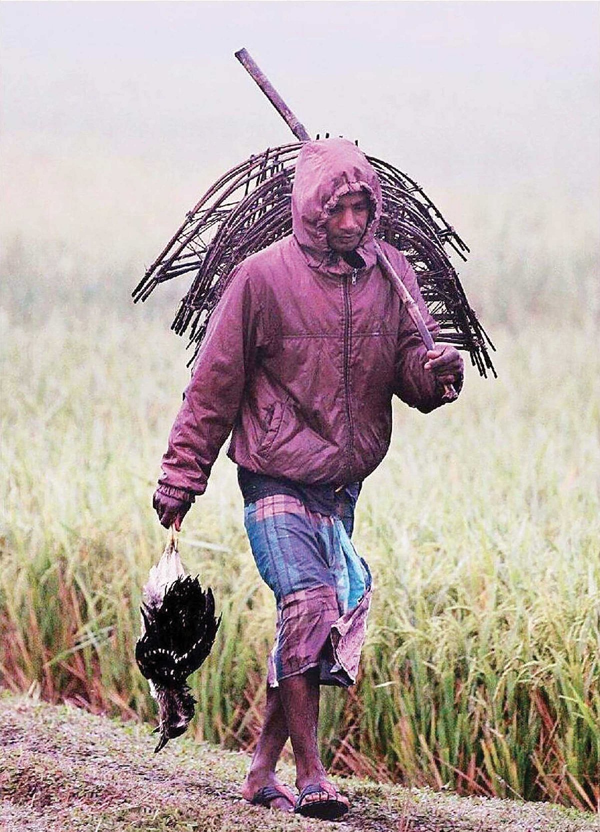 ছবি: মঈনুল ইসলাম