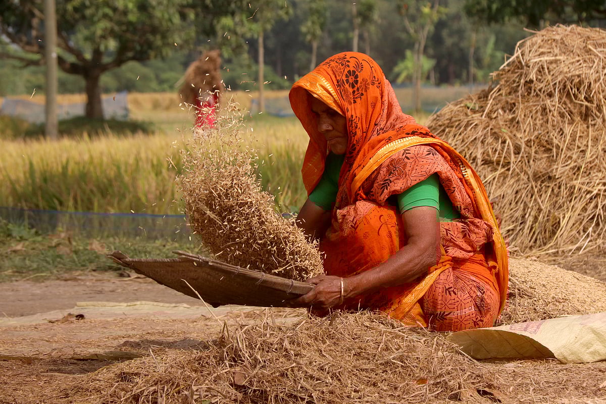 ছবি: হাসান মাহমুদ