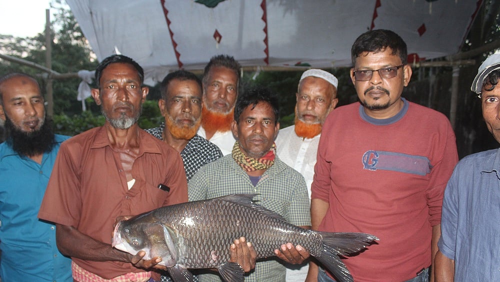 ছবি: প্রথম আলো