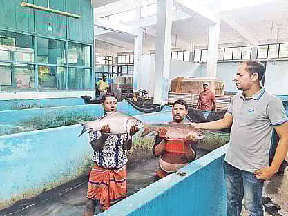 প্রথম আলো 