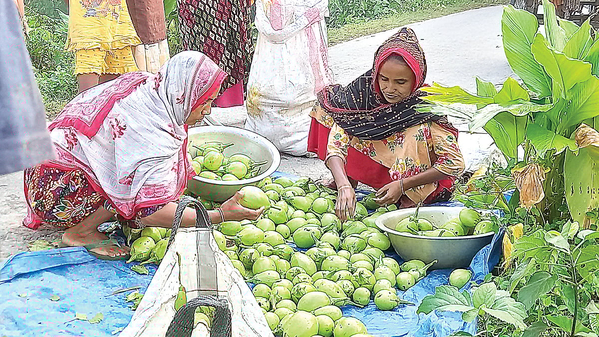  ছবি: প্রথম আলো