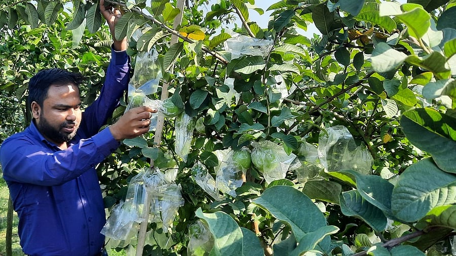 ছবি: প্রথম আলো  