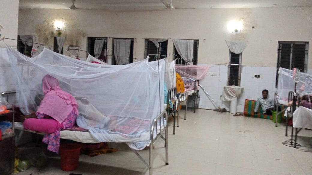 ফাইল ছবি