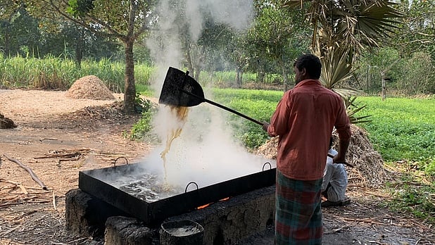 ছবি: প্রথম আলো