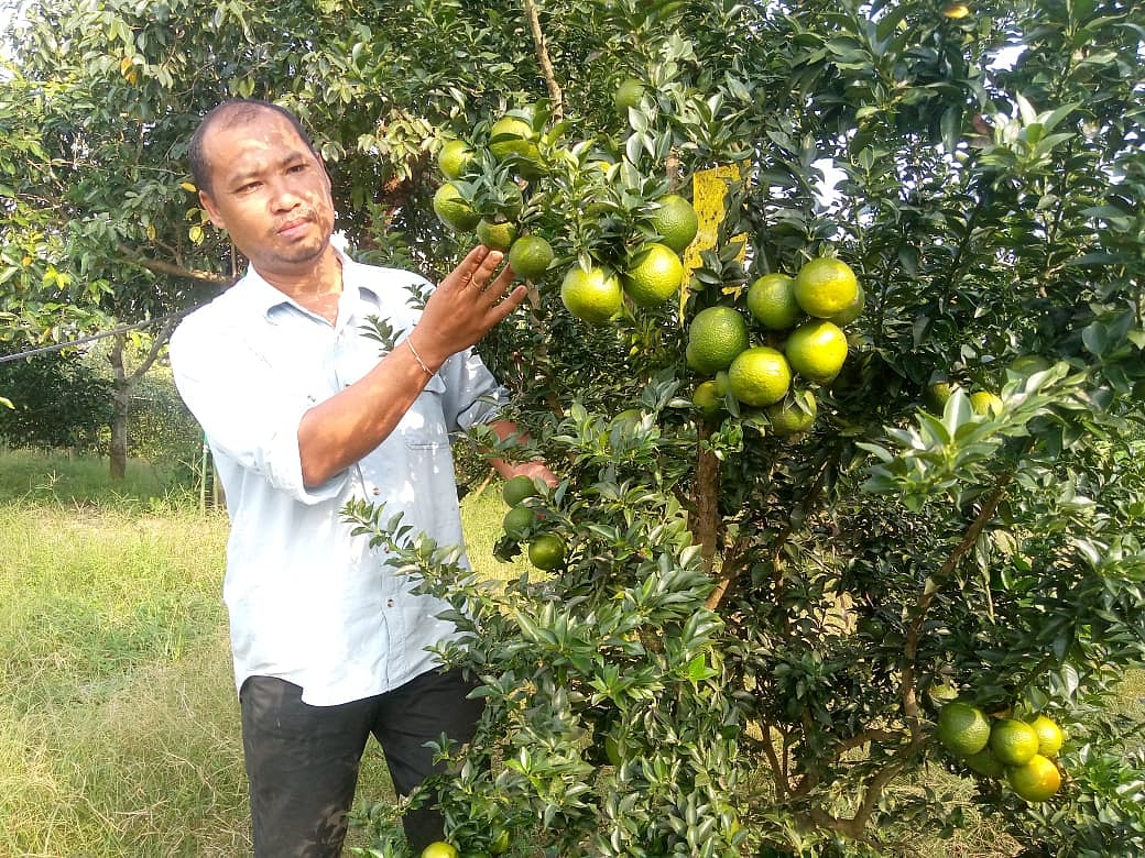 ছবি: প্রথম আলো