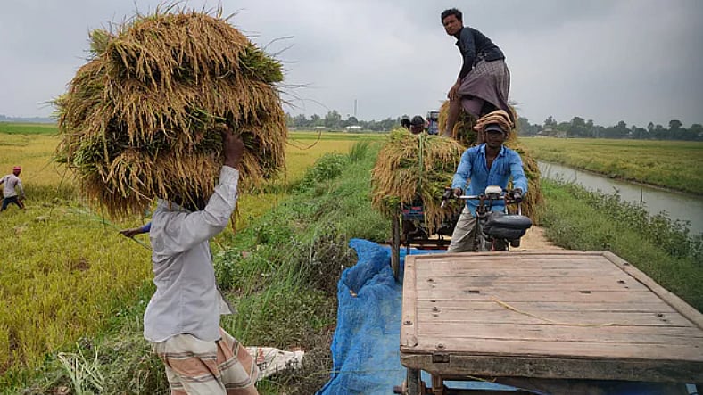 ছবি : প্রথম আলো