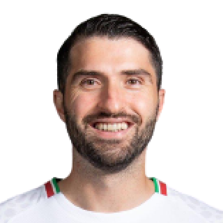 করিম আনসারিফার্দ