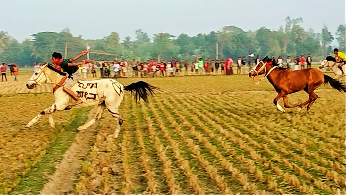 ছবি: তাফসিলুল আজিজ