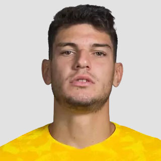 ফ্রান কারাচিচ