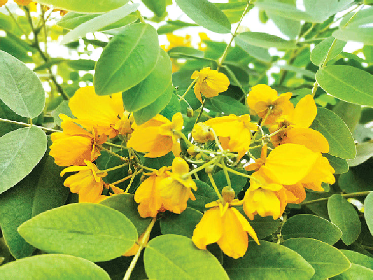 ছবি: লেখক