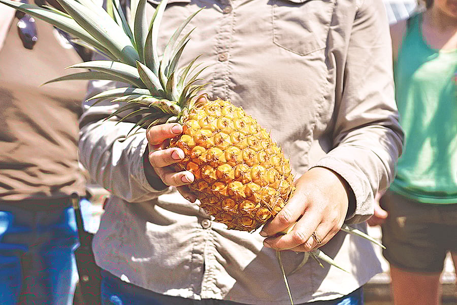 ছবি: ওয়েবসাইট থেকে