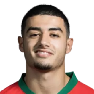 আনাস জারুরি