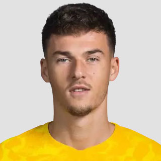 রুসতিচ আইদিন 