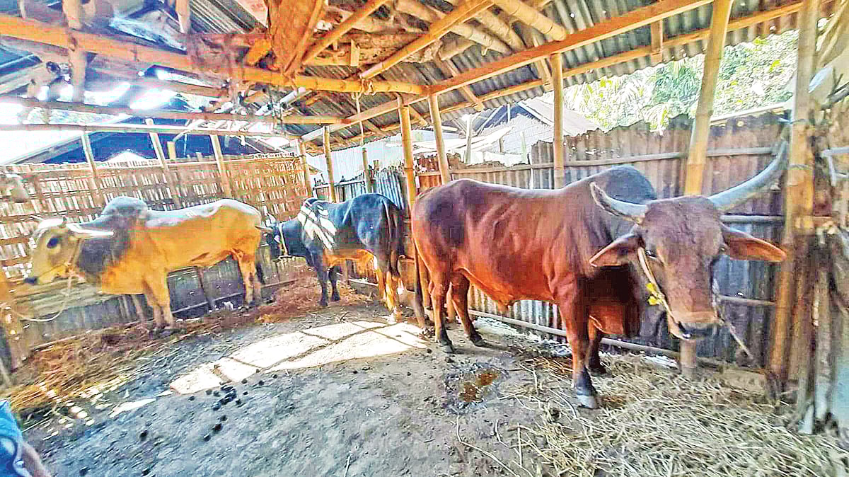 প্রথম আলো