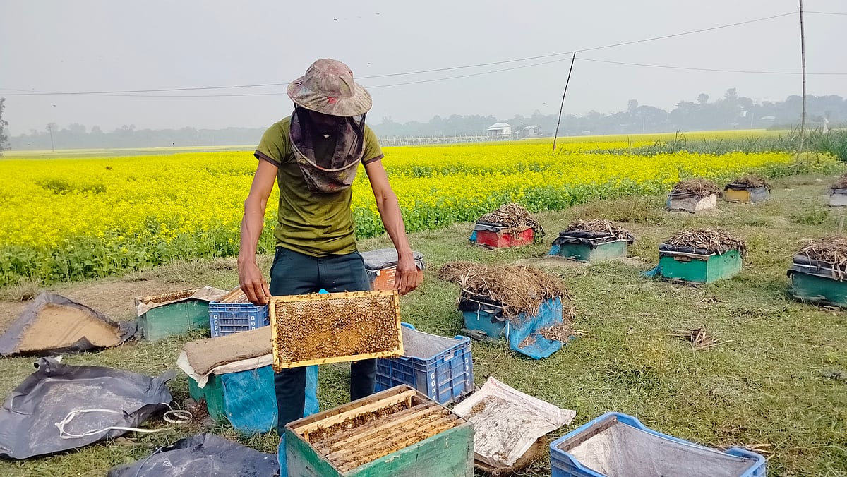 ছবি: আব্দুল মোমিন