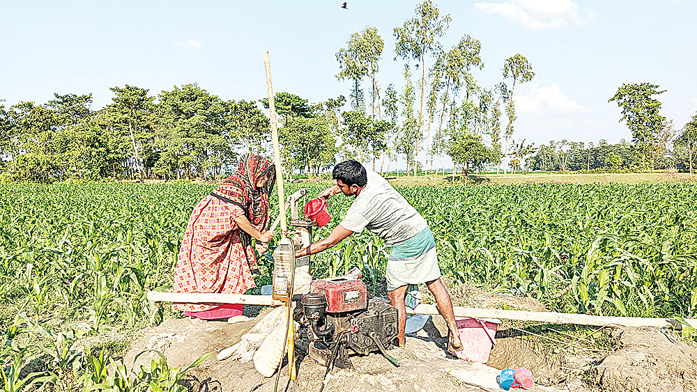 ছবি: প্রথম আলো