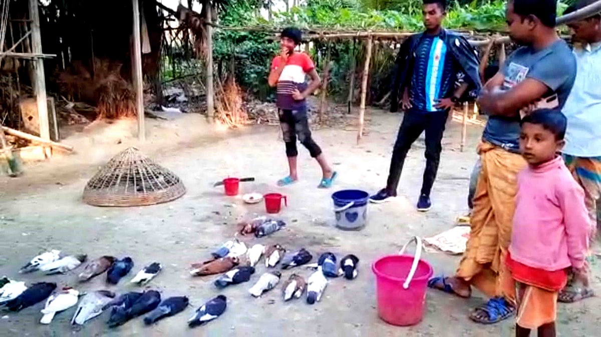 ছবি : প্রথম আলো