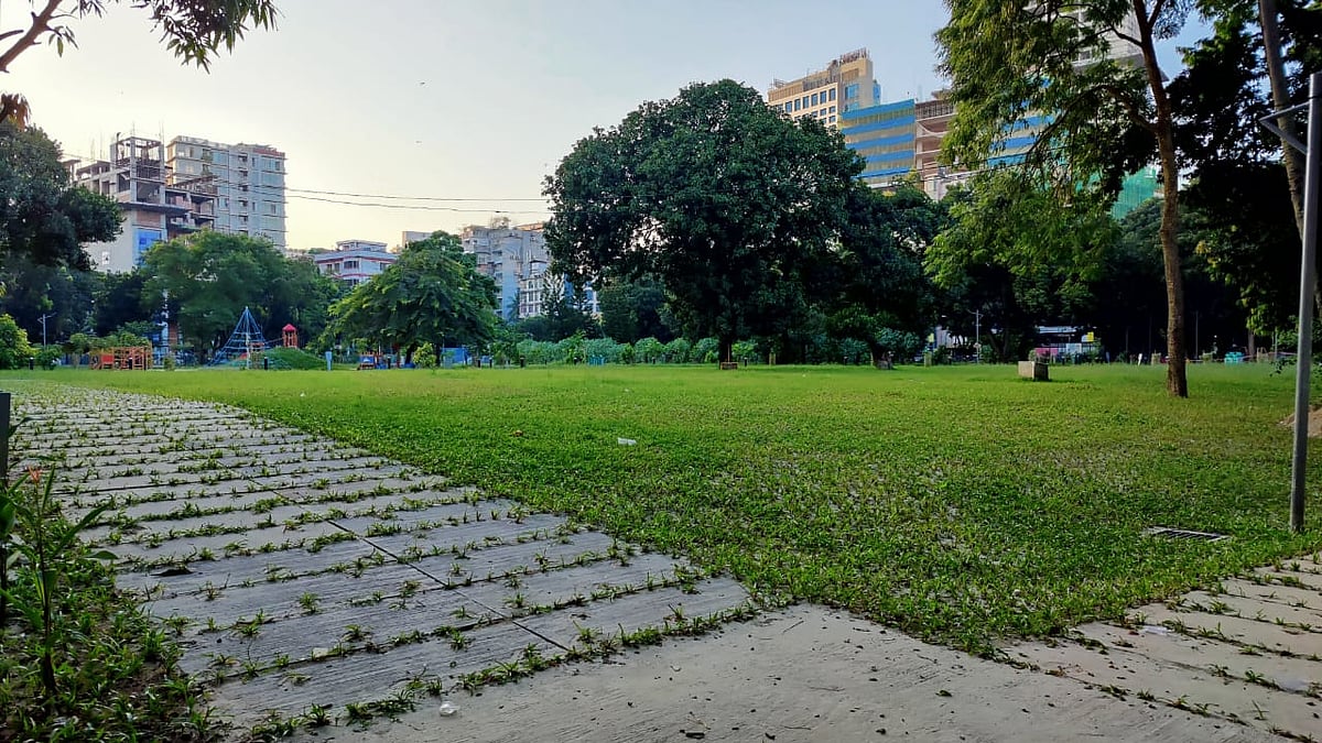 ছবি: প্রথম আলো