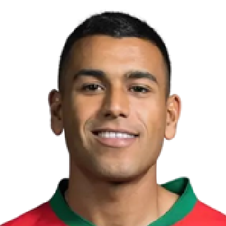 ওয়ালিদ শেদিরা