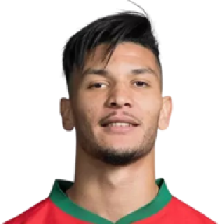 আশরাফ দারি