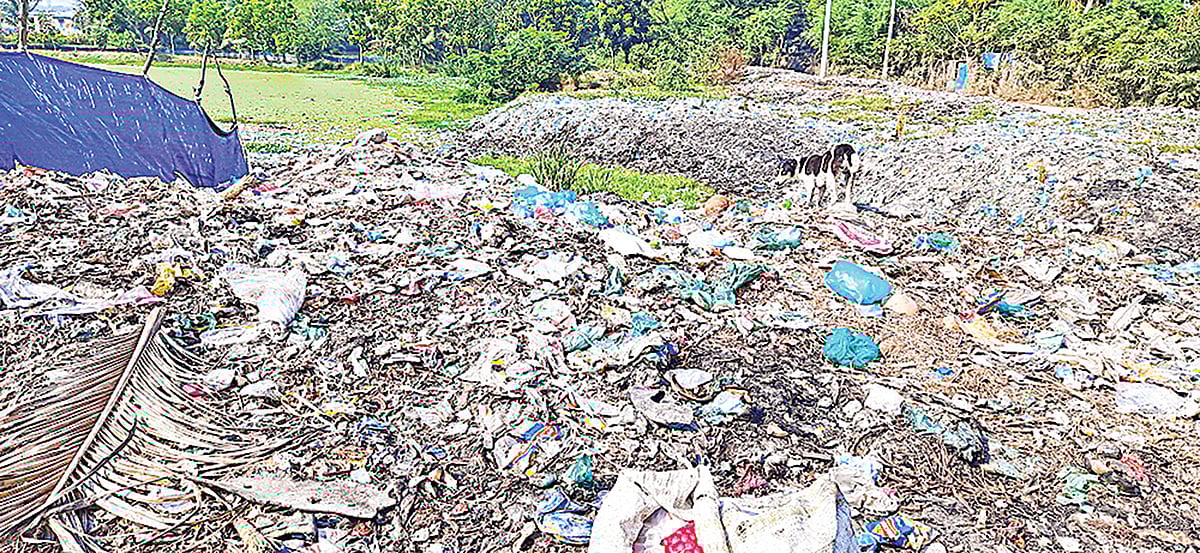 ছবি: প্রথম আলো