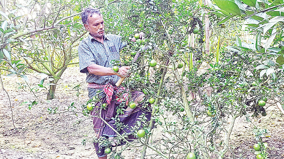 আমির হোসেন