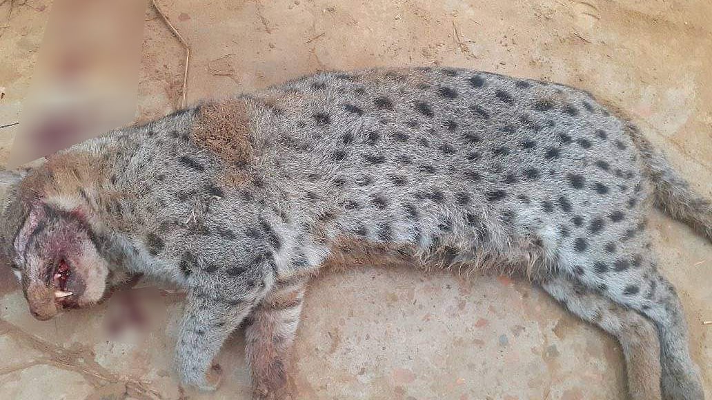 ছ‌বি: প্রথম আলো