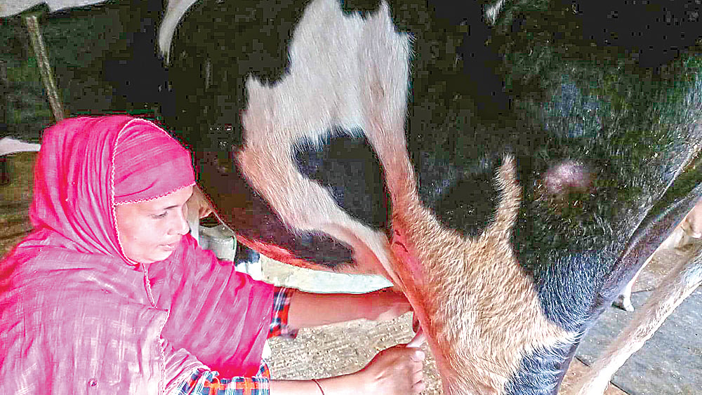 ছবি: প্রথম আলো