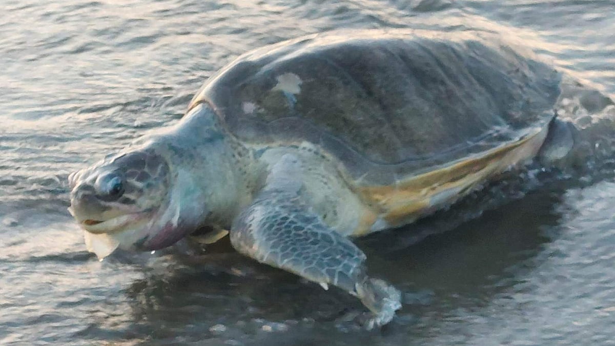 ছবি: প্রথম আলো