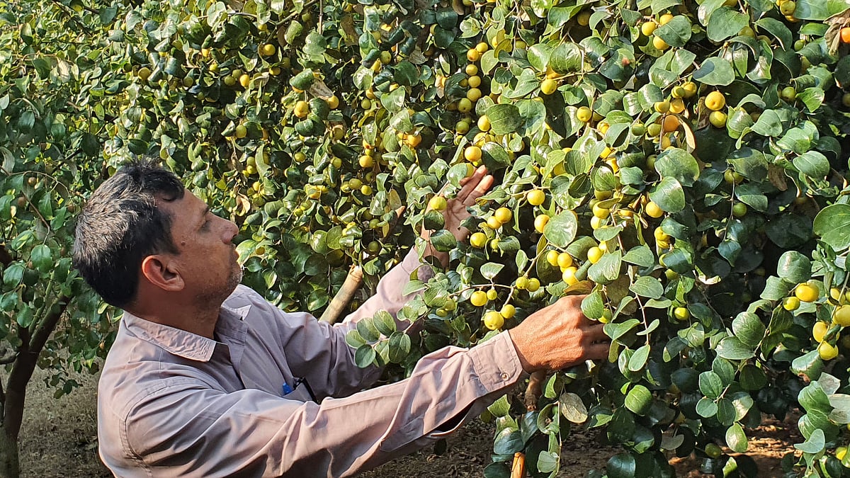 ছবি: প্রথম আলো 