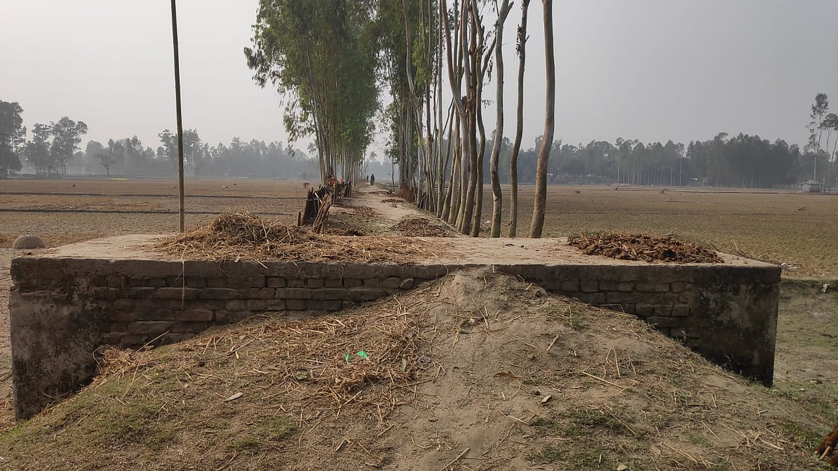 ছবি: প্রথম আলো