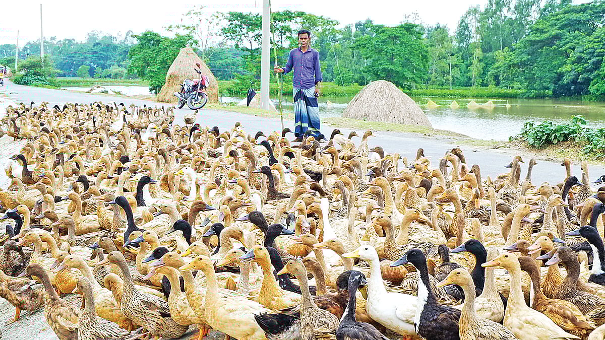 ছবি: প্রথম আলো 