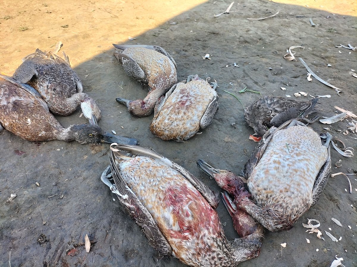 ছবি: প্রথম আলো