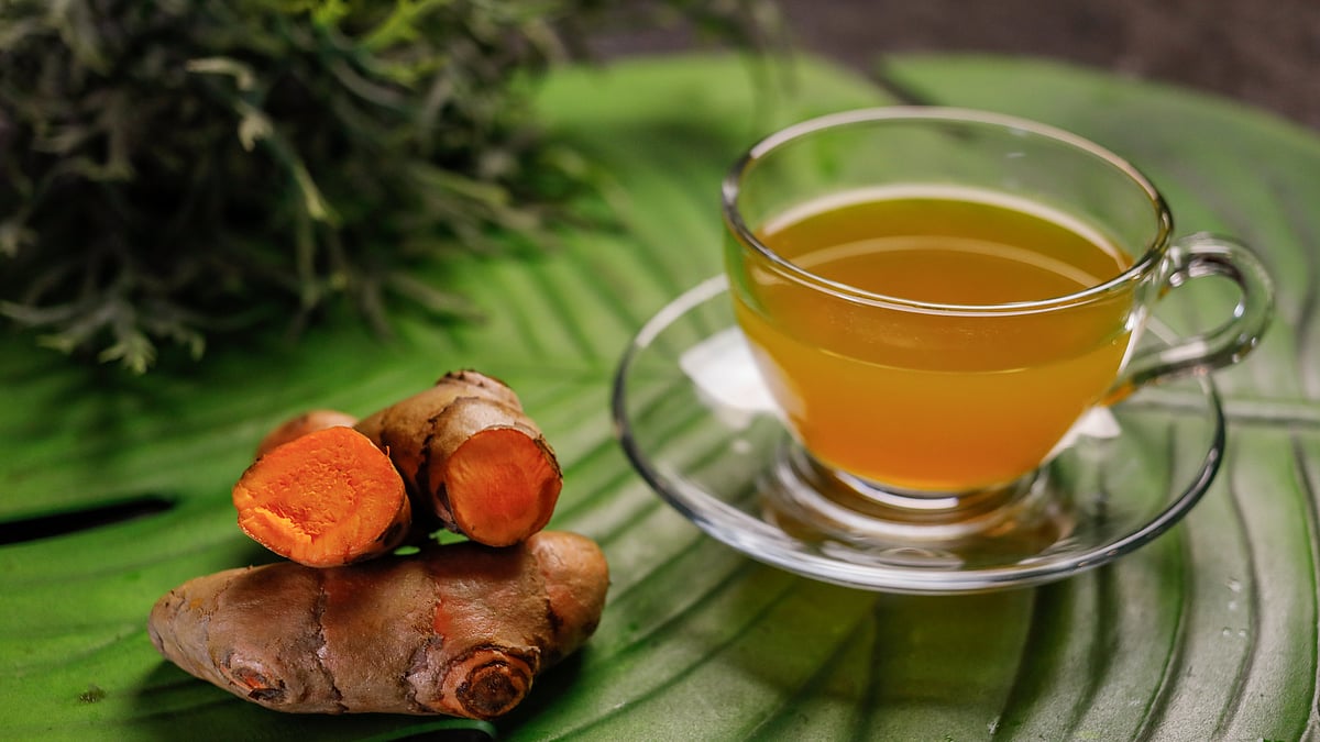 ছবি: সাবিনা ইয়াসমিন