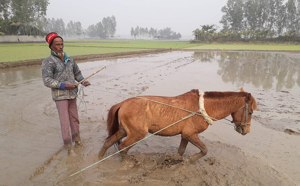 ছবি: আবদুল মান্নান