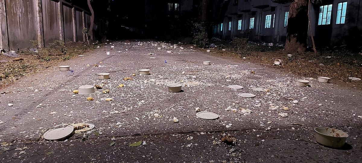 ছবি: প্রথম আলো