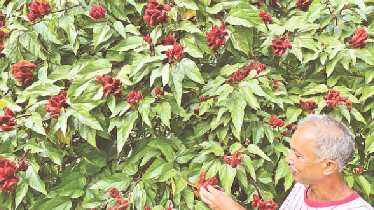 ছবি: প্রথম আলো