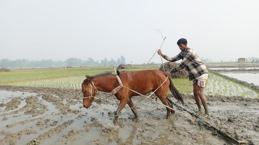 ছবি: প্রথম আলো