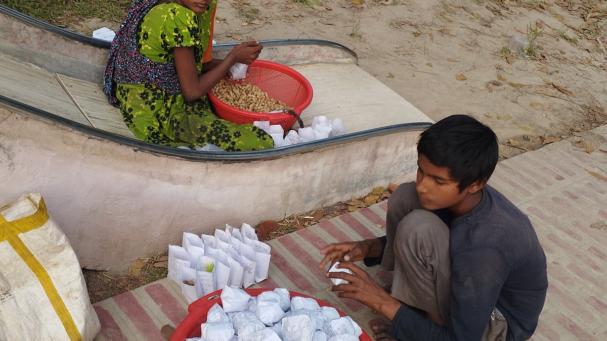 ছবি: লেখক