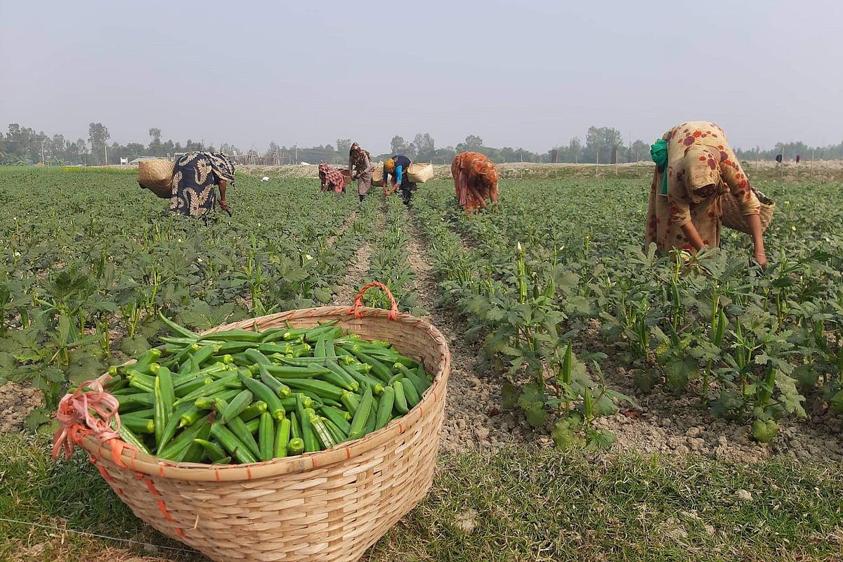 ছবি: ইকবাল হোসেন