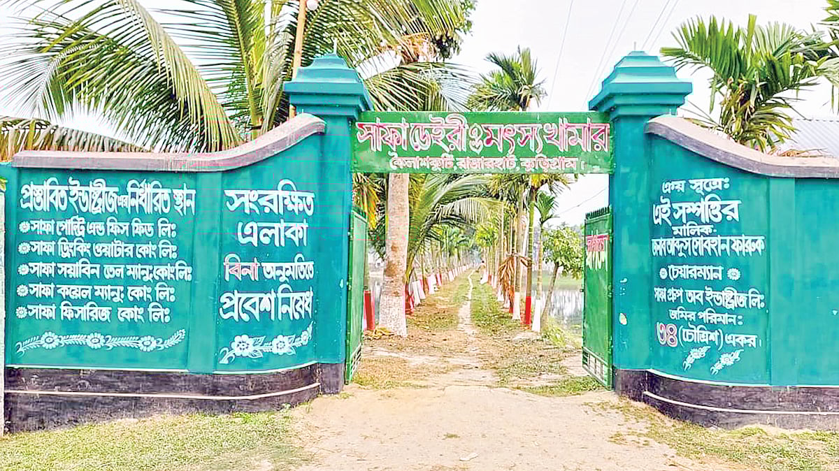 ছবি: প্রথম আলো