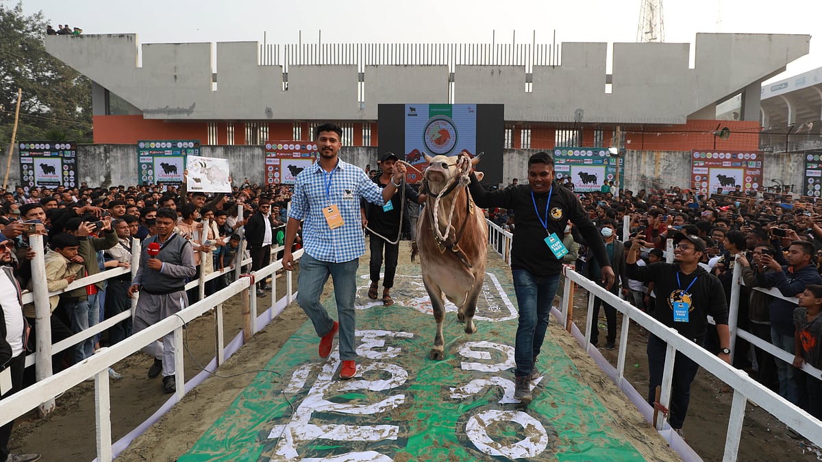 ছবি: জুয়েল শীল