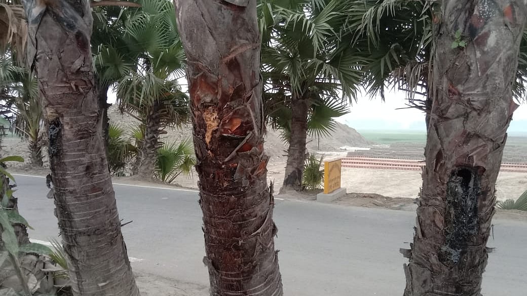 ছবি: প্রথম আলো